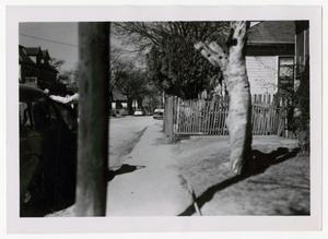 Primary view of object titled '[Photograph of Sidewalk on Browder Street]'.