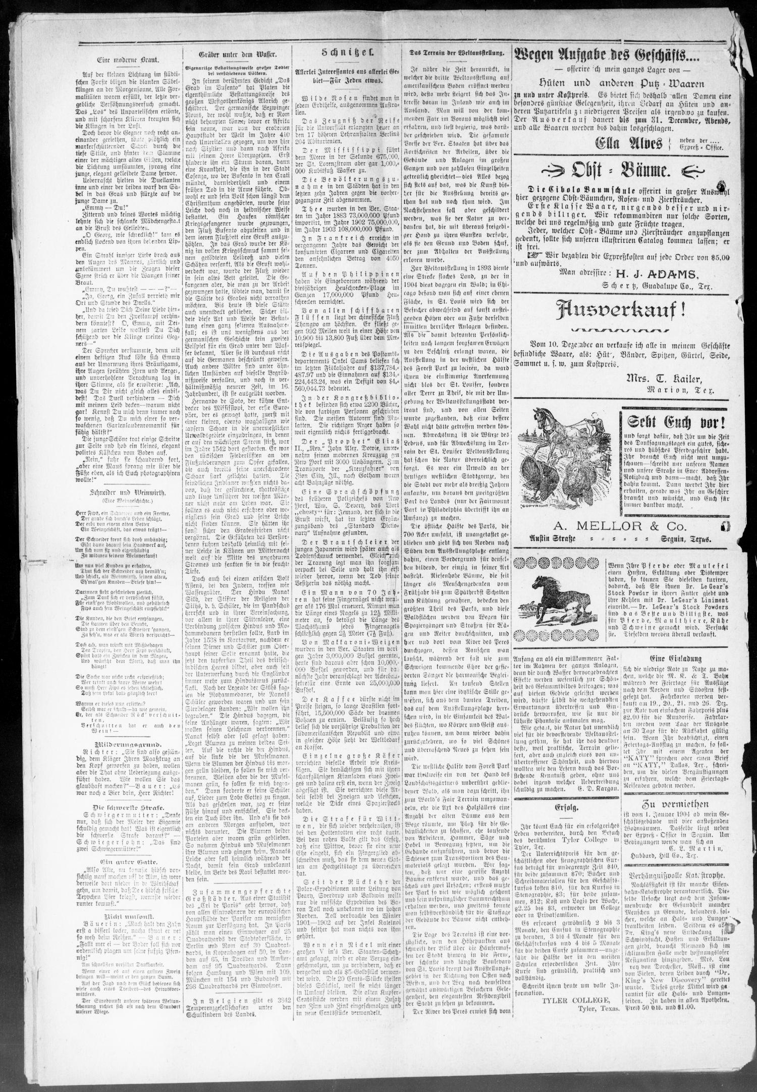 Seguin Zeitung. (Seguin, Tex.), Vol. 13, No. 17, Ed. 1 Thursday, December 10, 1903
                                                
                                                    [Sequence #]: 8 of 8
                                                