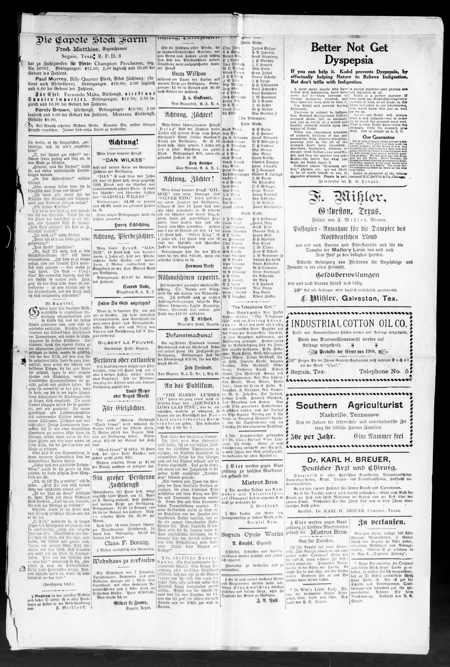 Seguiner Zeitung. (Seguin, Tex.), Vol. 18, No. 39, Ed. 1 Thursday, May 13, 1909
                                                
                                                    [Sequence #]: 3 of 8
                                                