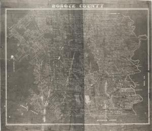 Primary view of object titled 'Bosque County'.