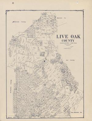 Primary view of object titled 'Live Oak County'.