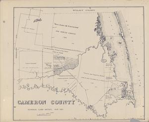 Primary view of object titled 'Cameron County'.