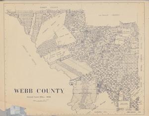 Primary view of object titled 'Webb County'.