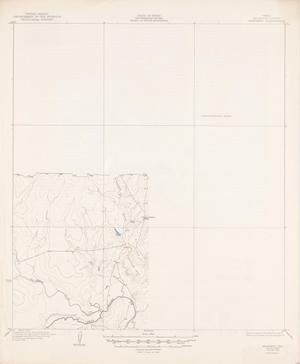 Primary view of object titled 'Texas (McMullen County): Whitsett Quadrangle'.