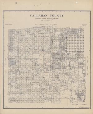 Primary view of object titled 'Callahan County'.