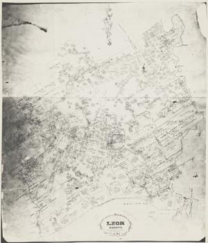 Primary view of object titled 'Leon County.'.
