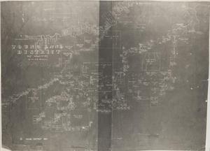 Primary view of object titled 'Young Land District'.