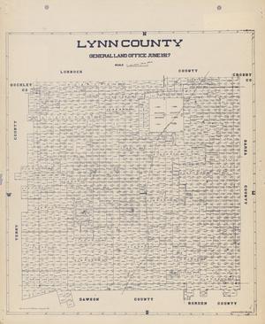Primary view of object titled 'Lynn County'.