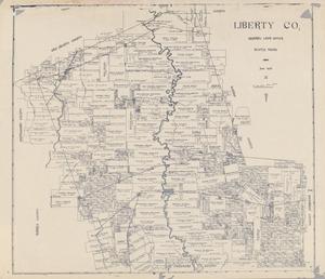 Primary view of object titled 'Liberty Co.'.