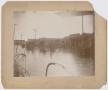 Photograph: [Photograph of the 1898 Brazos River Flood]