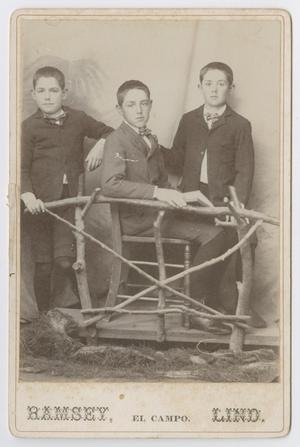 Primary view of object titled '[Photograph of Three Unidentified Boys]'.