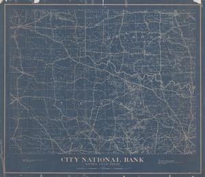 Primary view of object titled 'City National Bank; Wichita Falls, Texas.'.