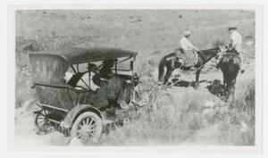 [Photograph of Horses Pulling Car]