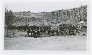 [Photograph of a Wagon with Lumber]