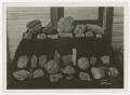 Photograph: [Photograph of Frank Duncan's Rock Collection]