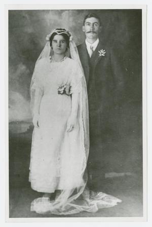 Primary view of object titled '[Wedding Portrait of Mr. and Mrs. George Dawson]'.