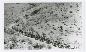 Primary view of object titled '[Photograph of Horse Riders in Pinto Canyon]'.