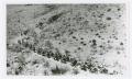 Thumbnail image of item number 1 in: '[Photograph of Horse Riders in Pinto Canyon]'.