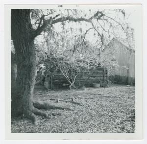 Primary view of object titled '[Orrin L. Winters Cabin Photograph #3]'.