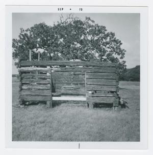 Primary view of object titled '[Orrin L. Winters Cabin Photograph #2]'.