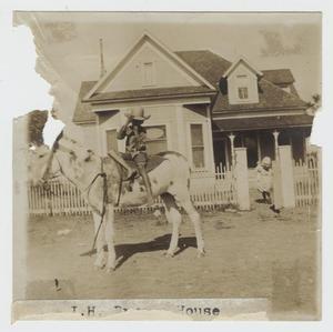 Primary view of object titled '[The Bryson Place Photograph #5]'.