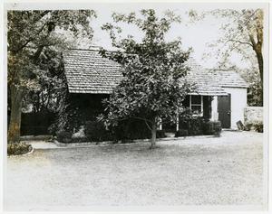 Primary view of object titled '[Walch Home Photograph #1]'.