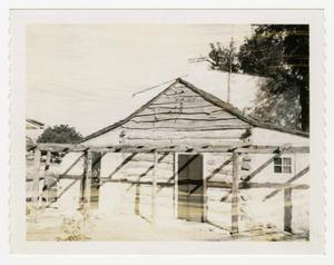 [Moseley Log Cabin Photograph #1]