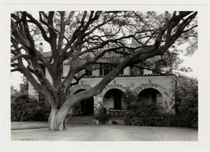 Primary view of object titled '[A. C. Schreiner, Jr. Home Photograph #2]'.