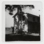 Thumbnail image of item number 1 in: '[Phillip Smith Farm Home Photograph #3]'.