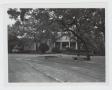 Photograph: [Old Storey Home Photograph #1]