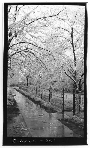 Primary view of object titled 'Icy Sidewalk in Colorado City'.