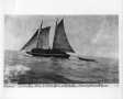 Thumbnail image of item number 1 in: '[Photograph of a "Schooner" in the Galveston Bay]'.