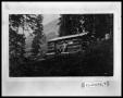 Thumbnail image of item number 1 in: 'Exterior View of Perini Cabin'.