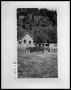 Thumbnail image of item number 1 in: 'Perini Family Car in Front of House'.