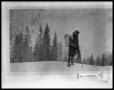 Thumbnail image of item number 1 in: 'Man On Skis'.