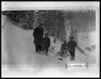 Photograph: Four Men With Sled On Mountainside