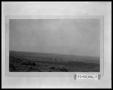 Thumbnail image of item number 1 in: 'Field of Oil Wells'.