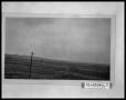 Photograph: Field of Oil Wells and Power Lines