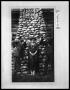 Photograph: Two Men with Woman in Front of Stone Chimney on Cabin