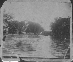Primary view of object titled '[The 1899 flood. Trees in background.]'.