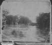 Primary view of [The 1899 flood. Trees in background.]