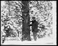 Photograph: Man by Snow Covered Trees
