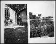 Primary view of Family on Back Porch; V. C. Perini Sr. and Virginia Lee in Garden