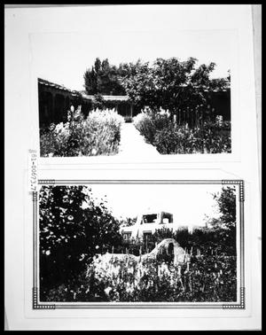 Primary view of object titled 'Garden in Pueblo Courtyard; Garden Vineyard'.