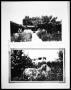 Thumbnail image of item number 1 in: 'Garden in Pueblo Courtyard; Garden Vineyard'.