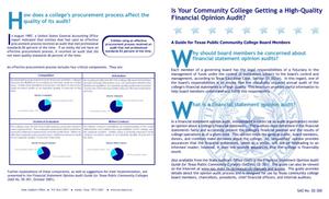 Primary view of object titled 'BROCHURE - Is Your Community College Getting a High Quality Financial Opinion Audit?'.