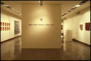 12: Artists Working in North Texas [Exhibition Photographs]