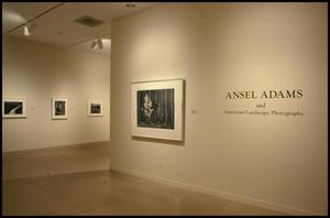Primary view of object titled 'Ansel Adams and American Landscape Photography: Selections from the Southland Corporation Collection [Exhibition Photographs]'.