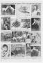 Thumbnail image of item number 3 in: 'The Bellaire Citizen (Bellaire, Tex.), Vol. 2, No. 7, Ed. 1 Thursday, May 18, 1950'.