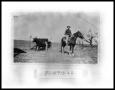 Photograph: Boy On Horse #2